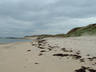 Photo ID: 000455, The Bear's Beach (54Kb)