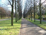 Photo ID: 000511, A pleasant tree lined walk (54Kb)