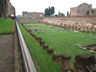 Photo ID: 001520, Ruins on the Palatine Hill (76Kb)