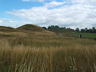 Photo ID: 002004, Gamla Uppsala (56Kb)