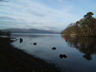 Photo ID: 002354, Bank of Loch Lomond (37Kb)