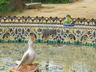 Photo ID: 002529, A duck and frog fountain (83Kb)