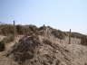 Photo ID: 004628, Out on the dunes (87Kb)