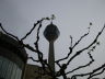 Photo ID: 004638, The Rheinturm (36Kb)