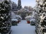 Photo ID: 005297, Roman garden (82Kb)