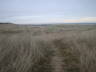Photo ID: 006729, In the sand dunes (78Kb)