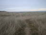 Photo ID: 006729, In the sand dunes (78Kb)