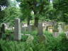 Photo ID: 007319, Headstones in overgrowth (150Kb)