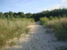 Photo ID: 007513, Climbing through the dunes (103Kb)