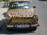 Photo ID: 007842, A Trabant in giraffe colours (104Kb)