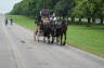 Photo ID: 008030, A horse and carriage (90Kb)