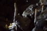 Photo ID: 008207, Fast growing stalagmites (71Kb)