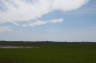 Photo ID: 009030, The fertile Romney Marsh (57Kb)