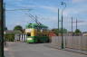 Photo ID: 009417, A trolley bus (115Kb)