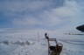 Photo ID: 011981, Preparing the sledges (73Kb)