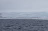 Photo ID: 011996, Glacier and Sea Ice (82Kb)