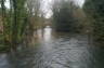 Photo ID: 014305, River Itchen (161Kb)