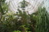 Photo ID: 014853, Inside the Palm House (190Kb)