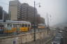 Photo ID: 016391, Passing trams (100Kb)