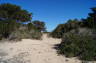 Photo ID: 016689, Sand Dunes (149Kb)