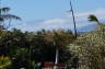 Photo ID: 016807, Mount Teide and Palms (146Kb)