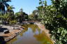 Photo ID: 016810, River in the Palmetum (185Kb)