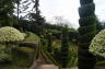 Photo ID: 017110, Topiary (158Kb)