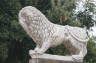 Photo ID: 017843, Faceless lion (155Kb)