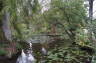 Photo ID: 017875, The gardens lake (213Kb)