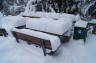 Photo ID: 018677, Postpone the picnic (111Kb)