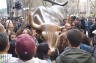 Photo ID: 019077, Charging Bull (139Kb)