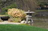 Photo ID: 019202, Lake in the Japanese Garden (178Kb)