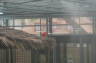 Photo ID: 019922, Scarlet Ibis (97Kb)