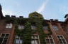 Photo ID: 020372, Ivy climbing the town hall (123Kb)