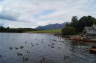 Photo ID: 020753, Geese and mountains (112Kb)