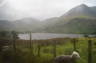 Photo ID: 020848, Buttermere in the rain (75Kb)