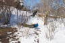 Photo ID: 022030, Peacocks in the snow (204Kb)