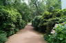 Photo ID: 023551, Entering Flora (269Kb)
