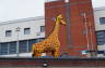 Photo ID: 023620, Lego Giraffe (182Kb)