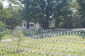 Photo ID: 024128, Arlington Cemetery (214Kb)