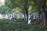 Photo ID: 024202, Korean War memorial (228Kb)
