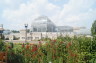 Photo ID: 024257, Greenhouses (171Kb)