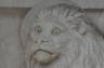 Photo ID: 024372, Worried looking lion (86Kb)