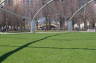 Photo ID: 026043, Lawn and Cloud Gate (215Kb)