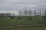 Photo ID: 026282, Icelandic Horses (93Kb)