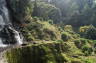 Photo ID: 026542, Waterfall and vegetation (232Kb)