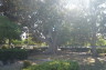 Photo ID: 027601, Inside the Boschetto Gardens (186Kb)
