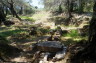 Photo ID: 027812, Ruins of the Temple of Hera (231Kb)