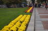 Photo ID: 028898, Planting outside the Synod (171Kb)