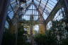 Photo ID: 029480, Inside the Palm house (201Kb)